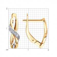 0200491 Серьги (Золото 585)