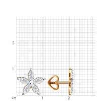 0200625 Серьги (Золото 585)