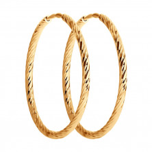 140137 Серьги (Золото 585)