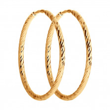 140137 Серьги (Золото 585)