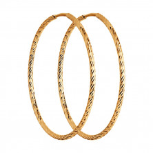 140139 Серьги (Золото 585)