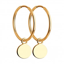 140219 Серьги (Золото 585)