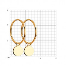 140219 Серьги (Золото 585)