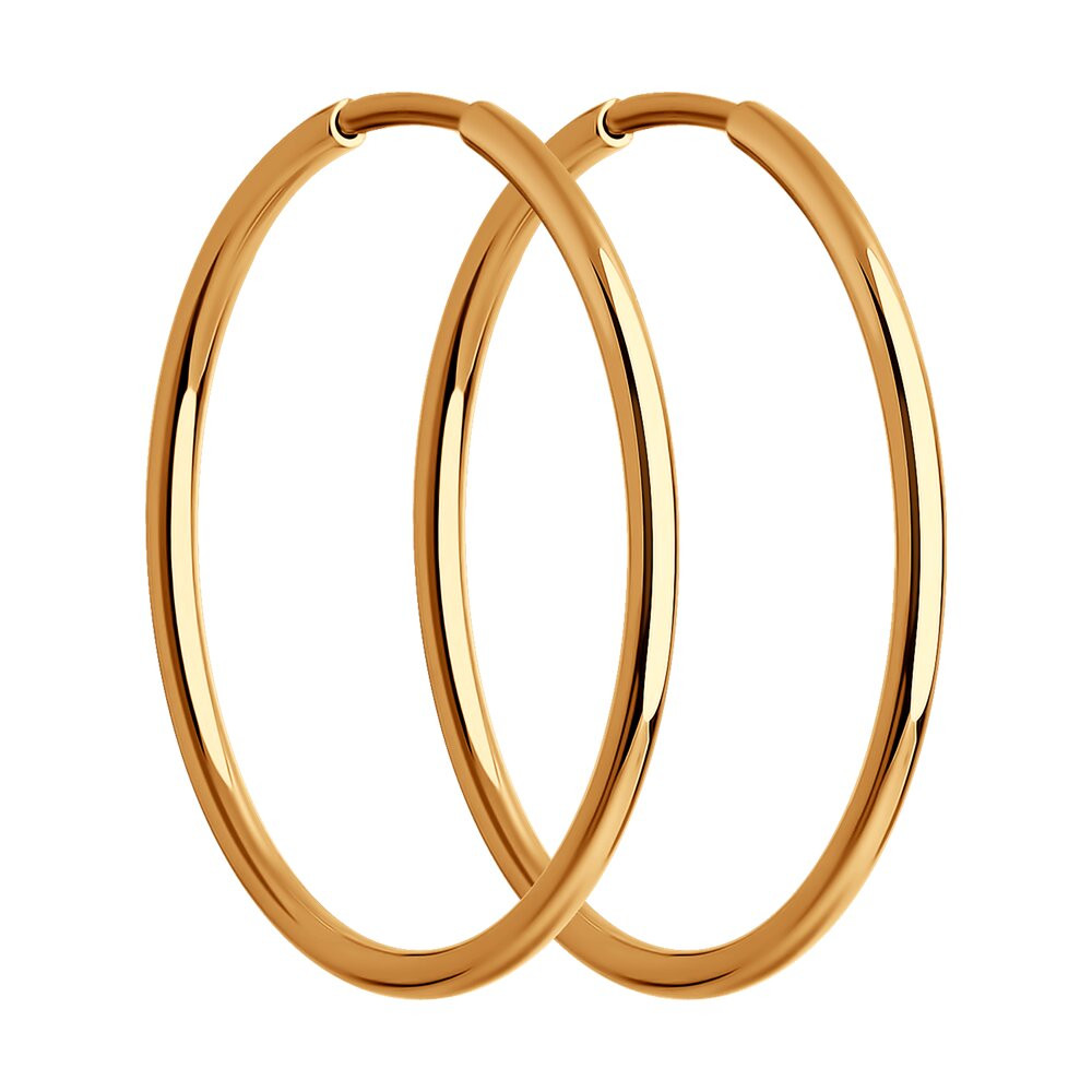 51-124-01589-1 Серьги (Золото 585)