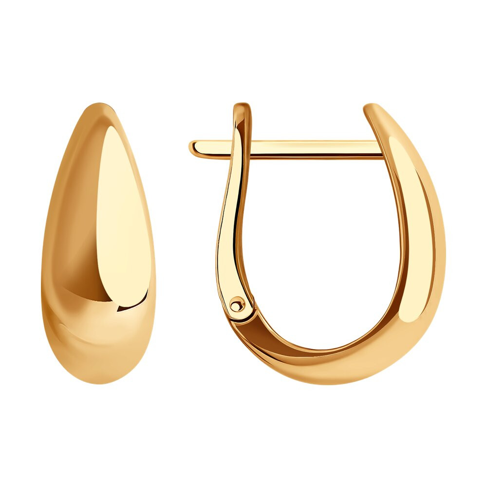 0200117 Серьги (Золото 585)