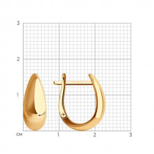 0200117 Серьги (Золото 585)