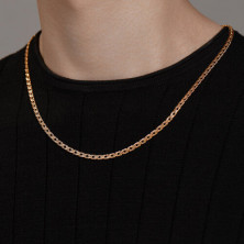 581100502 Цепь (Золото 585)