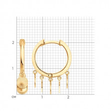 0200762 Серьги (Золото 585)