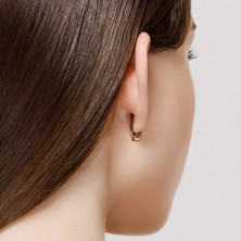 027246 Серьги (Золото 585)