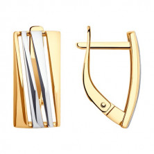 51-120-02464-1 Серьги (Золото 585)