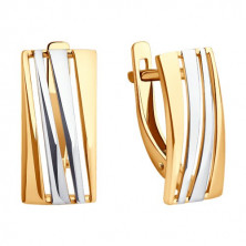 51-120-02464-1 Серьги (Золото 585)