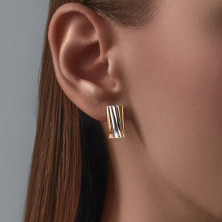 51-120-02464-1 Серьги (Золото 585)