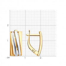 51-120-02464-1 Серьги (Золото 585)