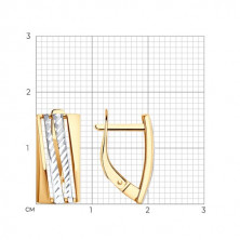 51-120-02464-2 Серьги (Золото 585)