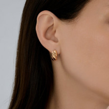 51-120-02912-1 Серьги (Золото 585)