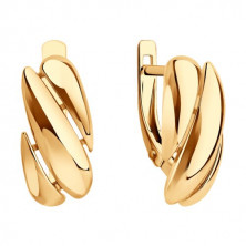 51-120-02912-1 Серьги (Золото 585)