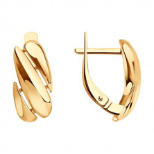 51-120-02912-1 Серьги (Золото 585)