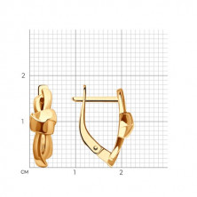 51-120-02187-1 Серьги (Золото 585)