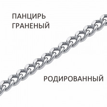 ПГр-50 Цепь (Серебро 925)