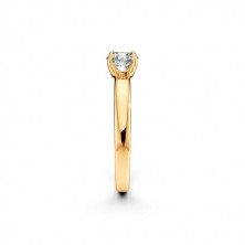 019243 Кольцо (Золото 585)