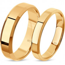 111093-01 Кольцо (Золото 585)