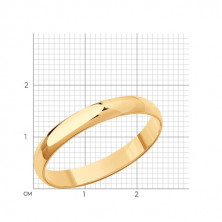 110031 Кольцо (Золото 585)