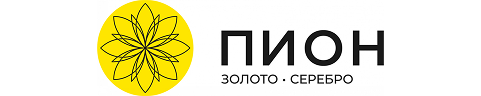 ПИОН